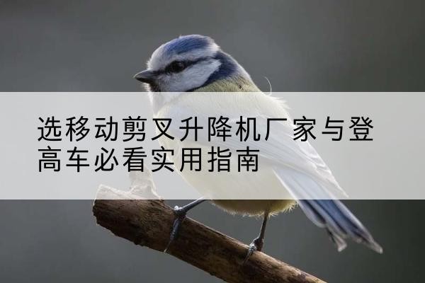 荆州电动升降机厂家-选移动剪叉升降机厂家与登高车必看实用指南