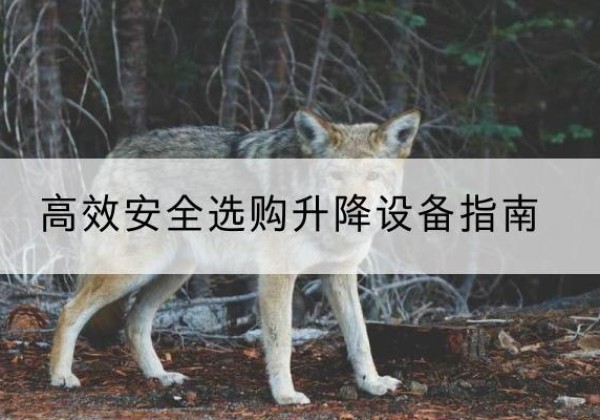 荆州升降货梯厂家推荐-*安全选购升降设备指南